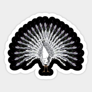 White Peacock Sticker